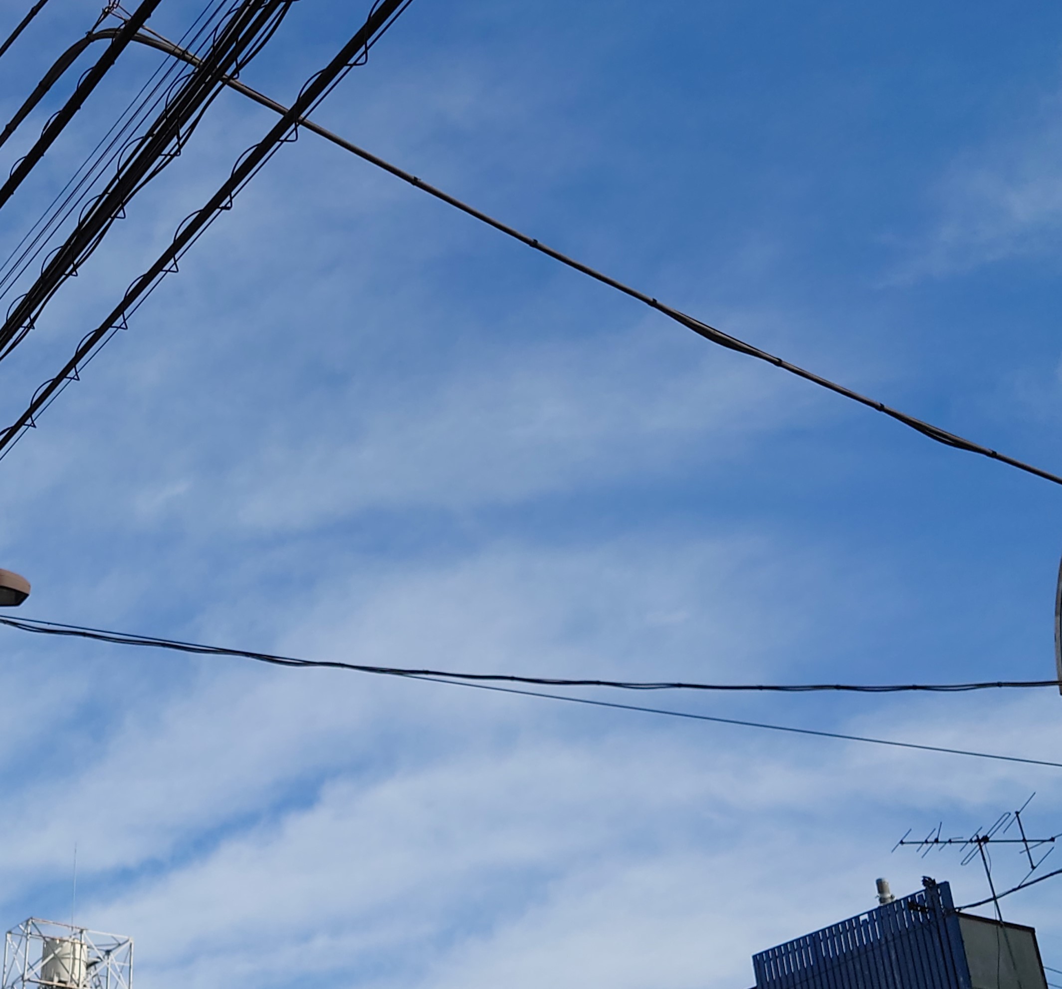 秋っぽくなってきました
